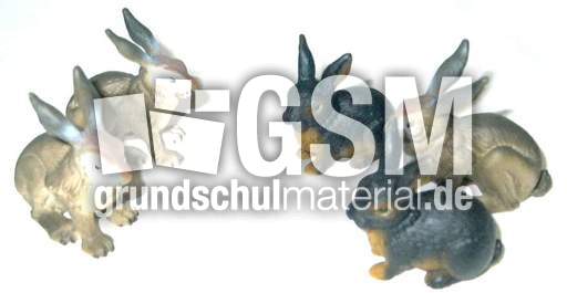 Hasen2+3.jpg